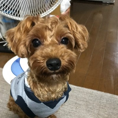 rei_chanmama's profile picture. 神奈川県在住