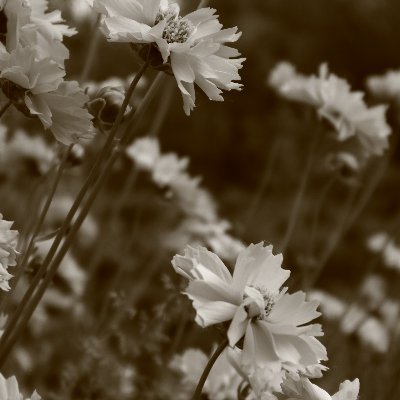 takeapic4fun's profile picture. 