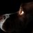 calumascott's profile image