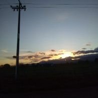 nuttybuttin's profile picture. 