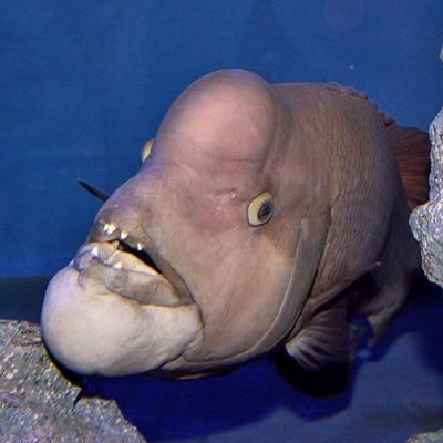 西バクソ最凶つばにゃん パパ活円光コブダイ 先月とまったく同じで1人だけお通夜枠 終始他枠監視でkaiの爆投げを待つ よく見かける口の癖 検索結果 唇を口の内側に巻き込む 不快感情 緊張 不安 ストレス 怒り 嫌悪 悲しみ 悔しさなど の 西バクソ最凶つばにゃん パパ活円光コブダイ 先月とまったく同じで1人だけお通夜枠 終始他枠監視でkaiの爆投げを待つ よく見かける口の癖 検索結果 唇を口の内側に巻き込む 不快感情 緊張 不安 ストレス 怒り 嫌悪 悲しみ 悔しさなど の