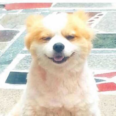 Reejack's profile picture. Nothing to say