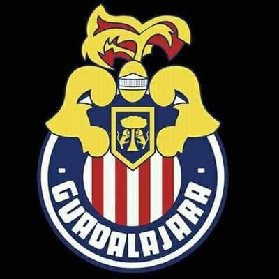 seguidor ,hincha, aficionado, chiva de corazón.
🇫🇷Chivas de Guadalajara🇲🇽🐐
12 ligas🏆
2 concachampions🏆
4 copas🏆
7 campeón de campeones🏆
1 súper copa🏆