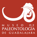 Museo de Paleontología de Guadalajara 'Federico A. Solórzano Barreto' . Junto al Parque Agua Azul