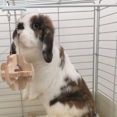 ログイン出来ないので使いませんさんのプロフィール画像