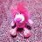 TOP_MCY_KK