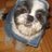 rufus_orto's profile image