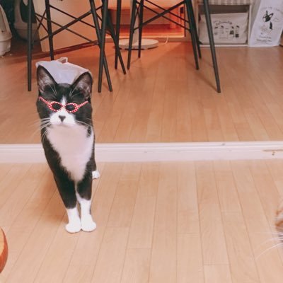つしまさんのプロフィール画像