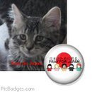 Myouganohana's profile picture. 花と木々、猫が好き！