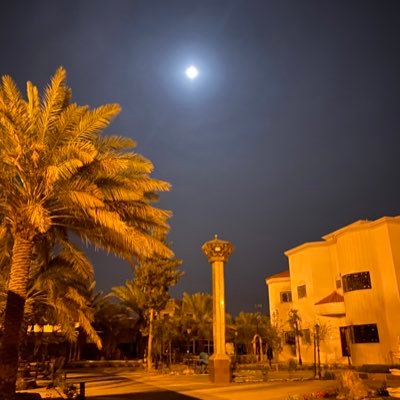 salehALmahemed's profile picture. لا يؤمن احدكم حتى يحب لأخيه ما يحب لنفسه