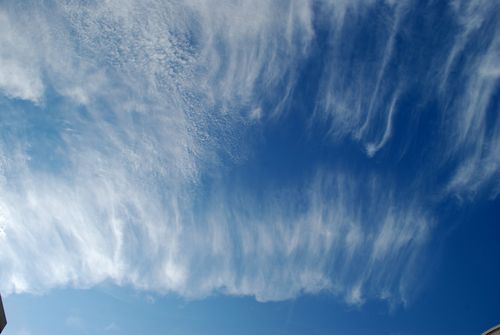 chemtrailphoto's profile picture. Everyday update on the newest chemtrailvideos on youtube