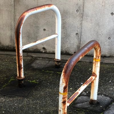 youngcooooo's profile picture. 太い首に憧れ 袖は長いほうが良い