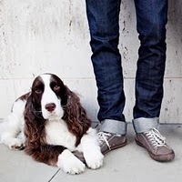 Steven Eidelman Profile