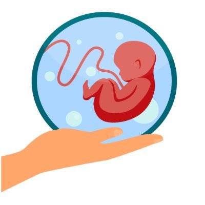 Explore comprehensive articles, tips, and resources for all about pregnancy, from conception to delivery at https://t.co/3y1nbXIxXR.