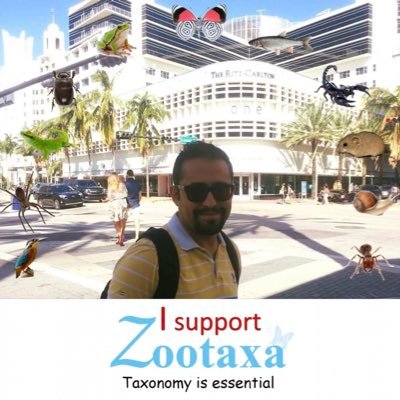 isdoker's profile picture. Acarologist, specialized on phytoseiid mites🕷🕷🕷