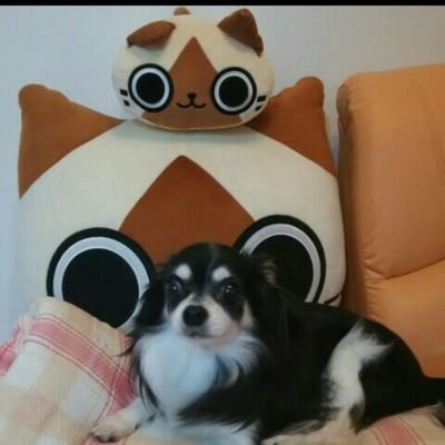 鈴木みゃーさんのプロフィール画像