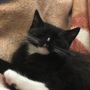 Thu-Ann Braun - @ThuAnnBraun1 - Twitter