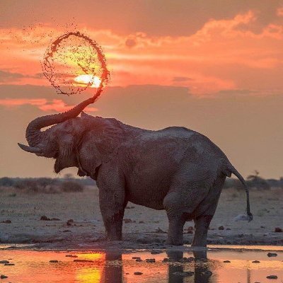 deepak_kmu's profile picture. eternal learner
