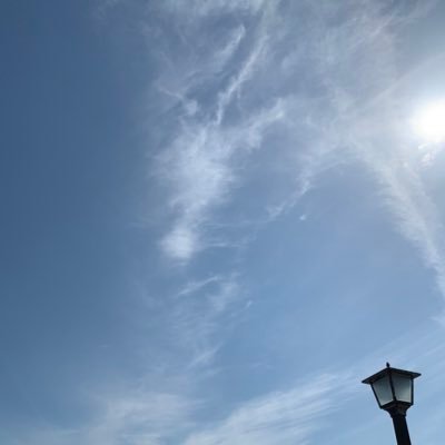 femuto_tori2's profile picture. ドラゴンズ専用♪ 〝どらほー！〟はこちらでやります(`･ω･´,,)ｷﾘｯ