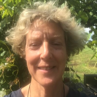 HengeloDialoog's profile picture. De natuur zorgt bijzonder goed voor ons.