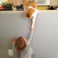 Afnaneta😌♥️ (@afnanwassal) Twitter profile photo