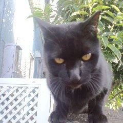 TEpJJs3i0lq0Ihs's profile picture. 元気です