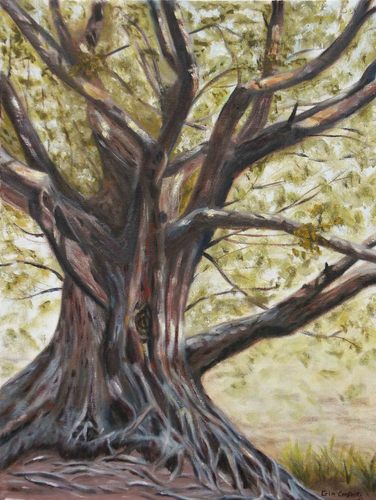 Laila Rizk (@LailaRizk) | Twitter