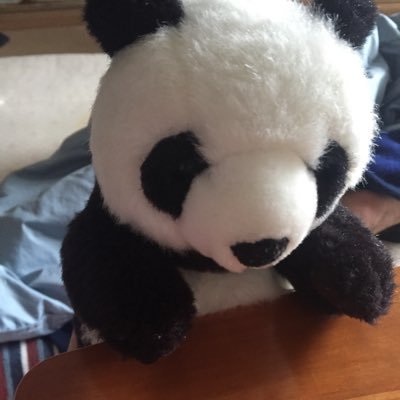 パンダページ 13080500__KINTO_d20410c7-5888-