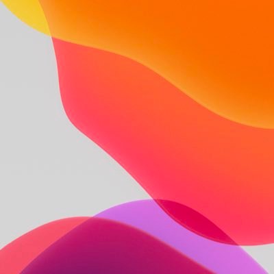 mathis39947330's profile picture. Joueur r6 / support;proxy