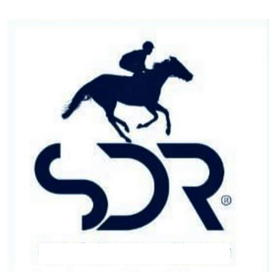 dawsonracing's profile picture. Racehorse trainer of Flat and NH horses 🏇 Always looking for my next winner 🏆🥂 *Passion*Honesty*Results