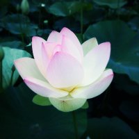 mamenobi0703.m (@mamenobi0703) Twitter profile photo