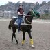 EL MAESTRO HIPICO Y PARLEY (@maestrohipico1) Twitter profile photo EL MAESTRO HIPICO Y PARLEY (@maestrohipico1) Twitter profile photo