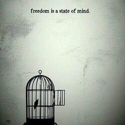 omCJsf7eCDrSIHC's profile picture. ‏لا بد للقيد ان ينكسر ...حكم الشعب ...حرية ديمقراطيه ...احلم ان انتخب واختار الموظف الامثل ليمثلني ...وليس ديكتاتور يسلب احلامي