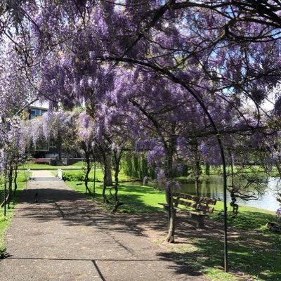 fanvanmaxima's profile picture. 