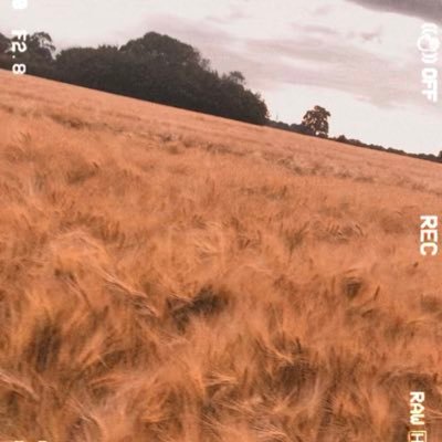 dinonuggwt443's profile picture. 