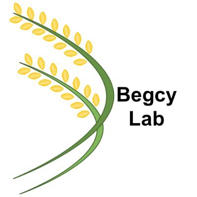 Begcy_Lab Profile Picture