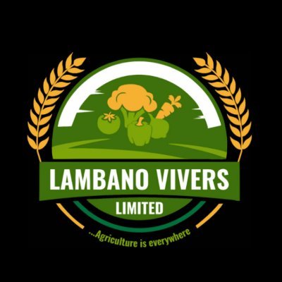 LambanoV Profile Picture