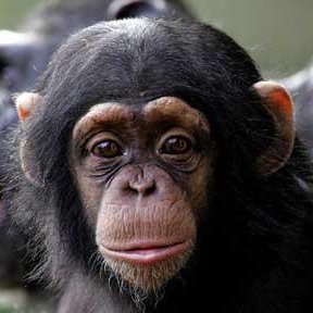 John_Doe_325's profile picture. 