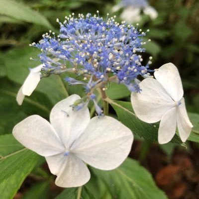 invesxxx's profile picture. 投資用