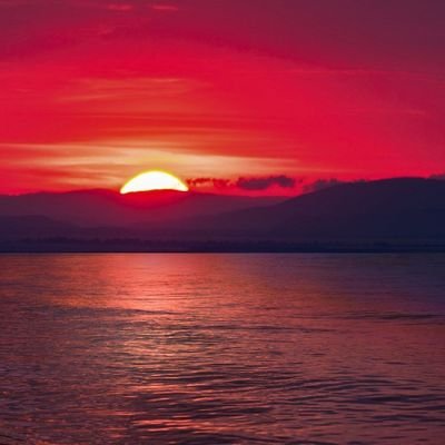 Mj96812739's profile picture. nothing...