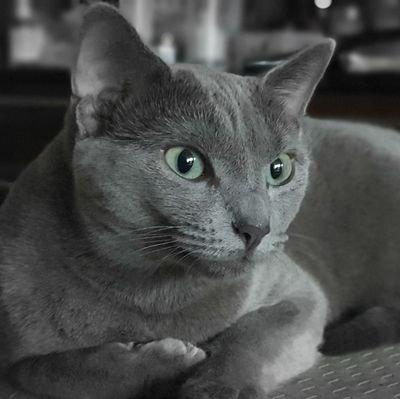 haru12haru34's profile picture. ARDOR-TF69-AH66-PAL8-AA789