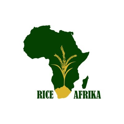 RiceAfrika