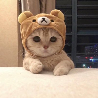 entrechat_q10's profile picture. とある企業で一般従業員/クリスチャン(プロテスタント)インターナショナルの教会に所属しています。/皆さんの呟きを参考にしています。とても勉強になります。