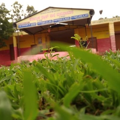 Vice Principal Karanataka Public school Mamadapur