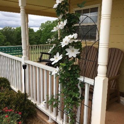 FlyJml's profile picture. follower of Jesus Christ, grandfather of 5, husband to a nursing PhD, Stephen Ministry caregiver, licensed P.E., Truth Social @FlyOverCountryJML