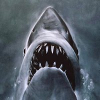 Owen Rohm (@rohmowen) 's Twitter Profile