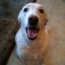 Pat Weeks - @dpweeks - Twitter