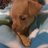 hunny_bun_11's profile image