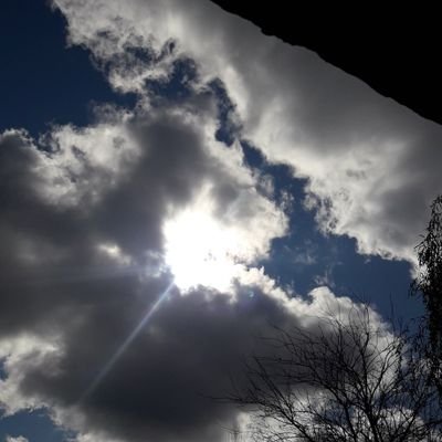 GusMan39471934's profile picture. cuatro hijos perros