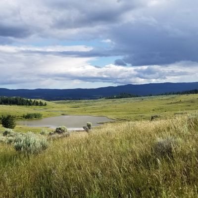 Alex_AniPac's profile picture. 